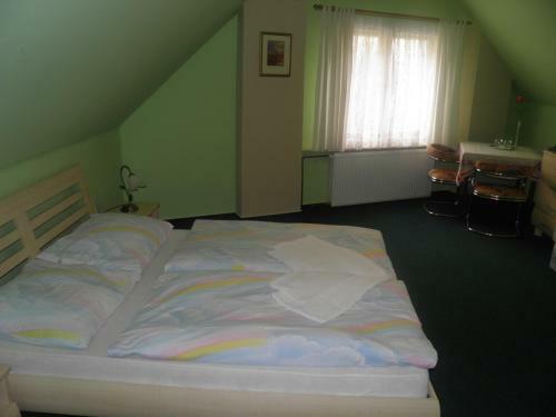 Hostal Penzion U Modr�ho Slona