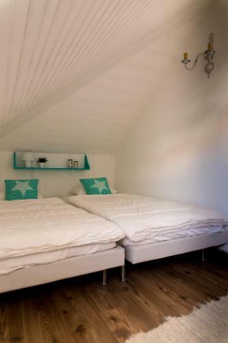 Pura Vida Beach Hostel