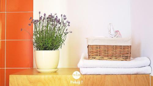 Wam Rooms