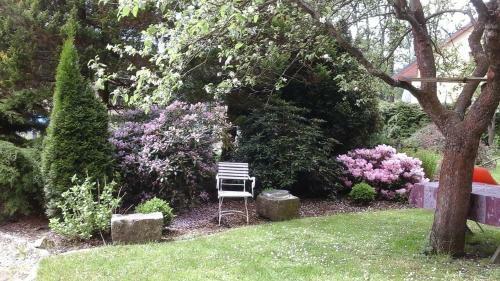 Apartmany Villa Magnolie