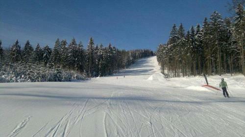 Hostal Penzion Chata Pod Sjezdovkou