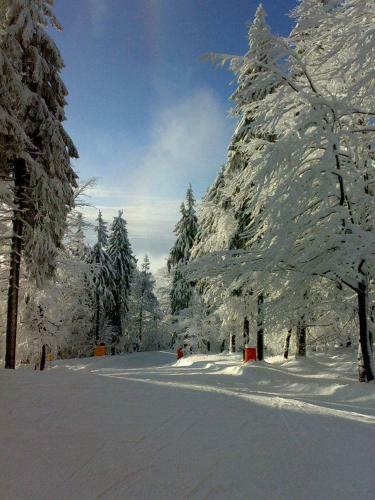 Hostal Penzion Chata Pod Sjezdovkou
