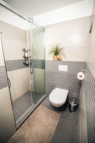 Apartamento U O?echa