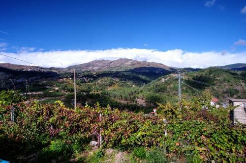 Casa Velha