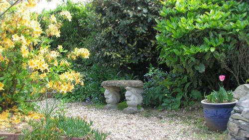 Bed & Breakfast Dovers House