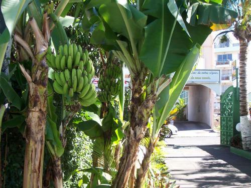 Hotel Le Nathania