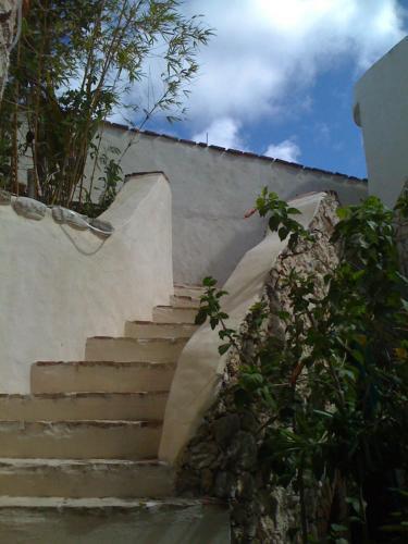 Bed & Breakfast Guesthouse Las Piedras