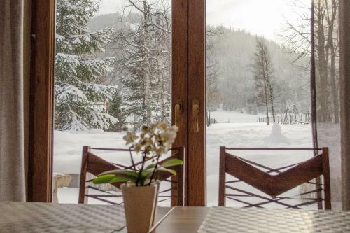 Bed & Breakfast Villa Nosal