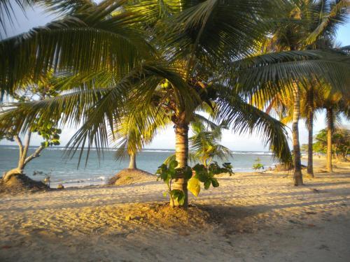 Apartamento Caribbean Sun Residential