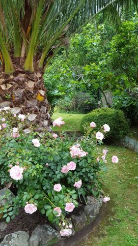Bed & Breakfast Franklyn Guesthouse