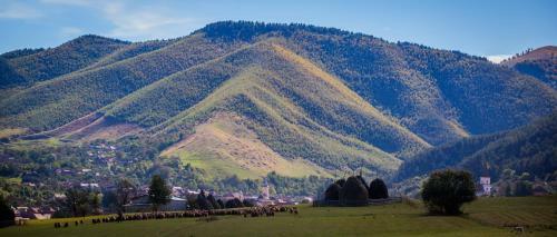 Hostal Picturesque Village In Transylvania