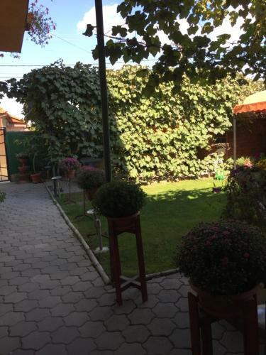 Hostal Pensiunea Kristine Sibiu