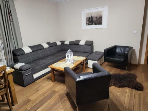 Apartament Tatrza?ski Anio?