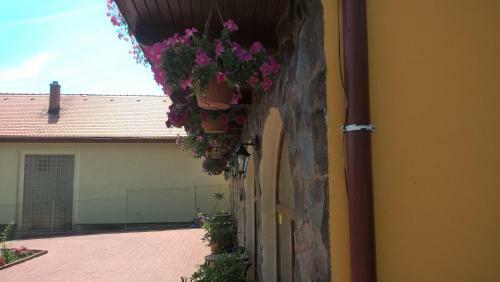 Hostal Vila Allegra Guesthouse