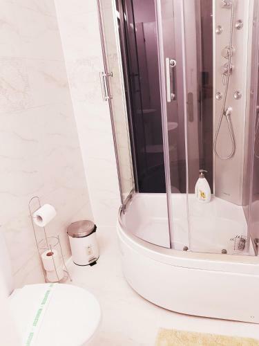 Hostal Pensiunea Red Rose Apartments