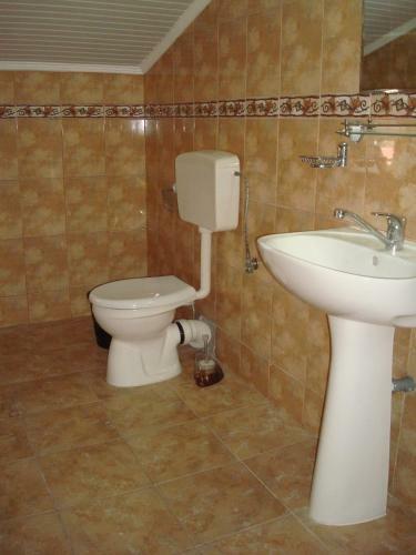 Hostal Pensiunea Casa Soarelui