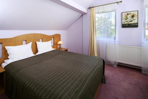 Hostal Pensiunea Hugo