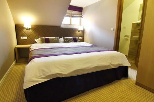 Hostal Pensiunea Chic