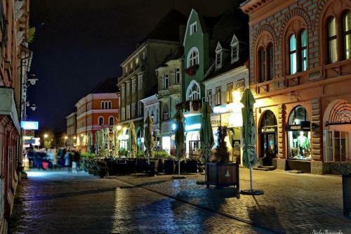 Balcescu Apartment In Historic Center
