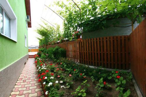 Hostal Casa Nelu Pescaru