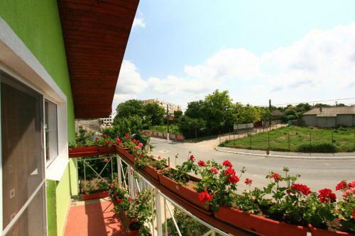 Hostal Casa Nelu Pescaru