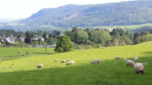 Pitlochry Syha Hostelling Scotland