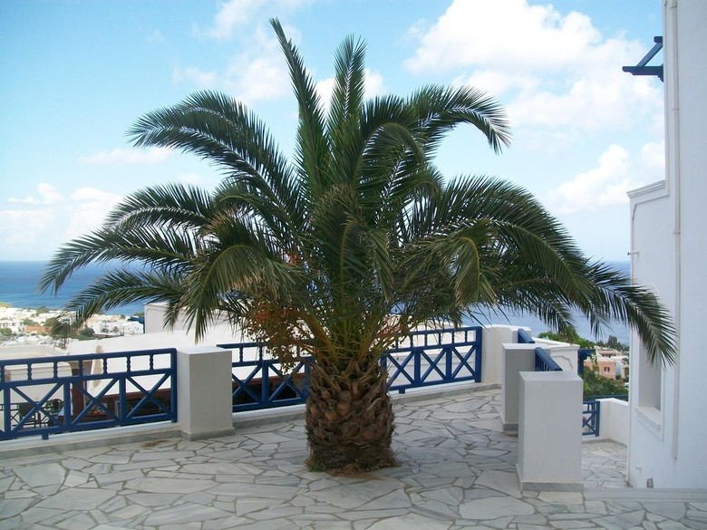 Hotel Aegean View