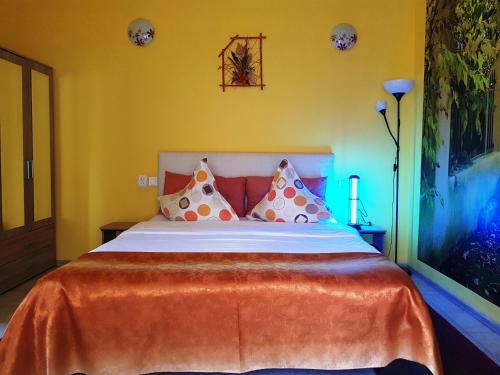 Hostal Pensiunea Paloma