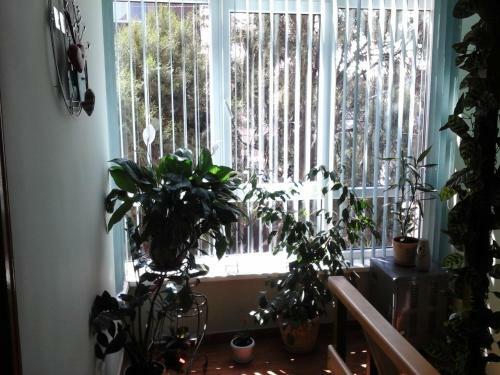 Posada Apartment On Gogolya 3a