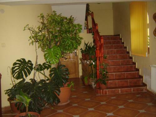Hostal Alissim