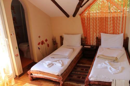 Hostal Pensiunea Delta D.m.y.