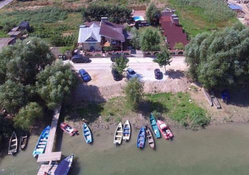 Hostal Pensiunea Delta D.m.y.