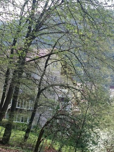 Apartament Racadau
