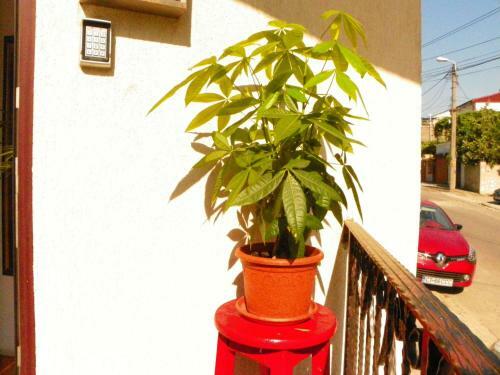 Hostal Vila Adrys