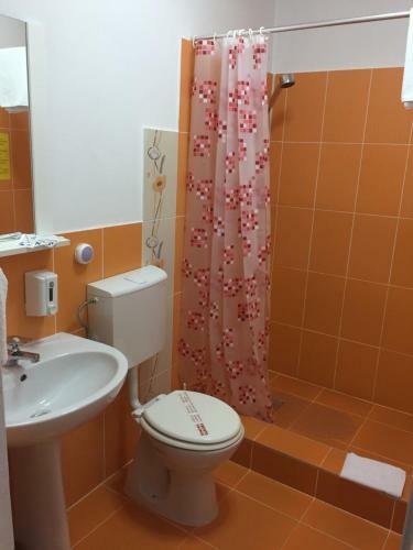 Hostal Pensiunea Vanessa