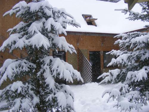 Aparthotel Traveland Villas Poiana Brasov