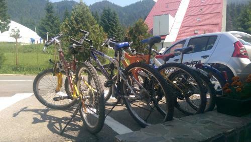 Aparthotel Traveland Villas Poiana Brasov