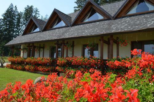 Hostal Pensiunea Inima Bucovinei