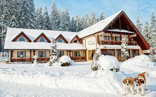 Hostal Pensiunea Inima Bucovinei