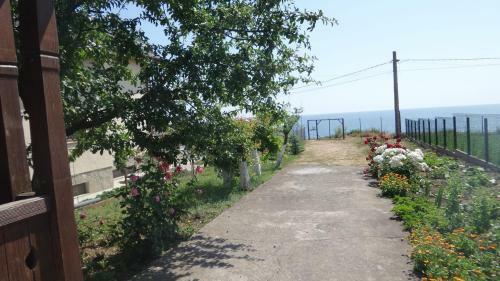 Hostal Pensiunea Sapte Pini