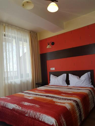 Hostal Pensiunea Steaua Nordului