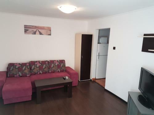 Apartament Tudor