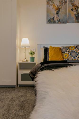 Apartments Volga