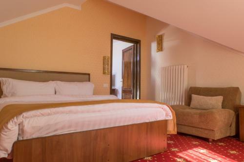 Hotel Elektra Vama Veche