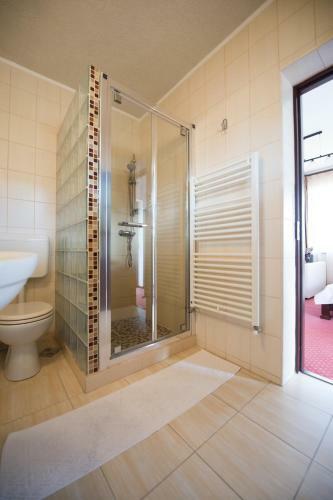 Hostal Pensiunea Casa Cu Flori