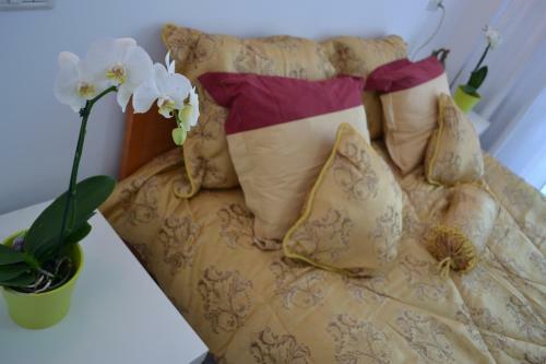 Apartamento City Park Residence