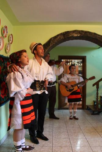 Hostal Pensiunea Teodora Teleptean