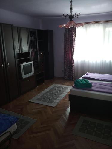 Apartamento Casa De Oaspeti Anna