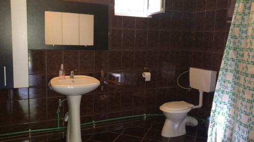 Villa Vila Adela Transfagarasan