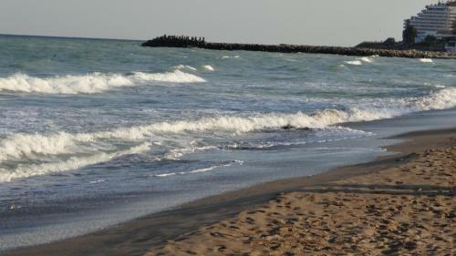 Hostal Vila Calypso Costinesti